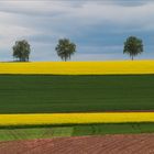 Frühling im Breisgau