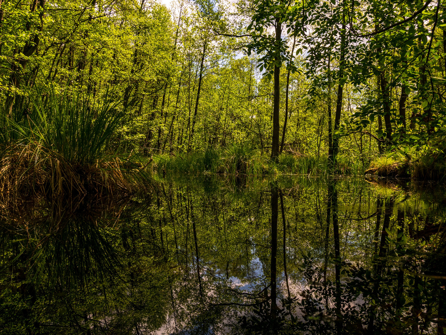 Frühling im Briesetal