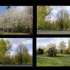 Frühling im Britzer Garten ...