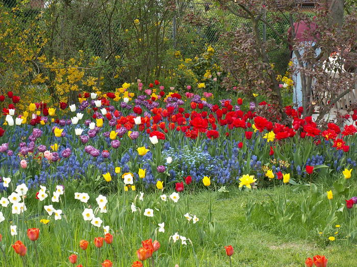 Frühling im Britzer Garten