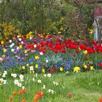 Frühling im Britzer Garten