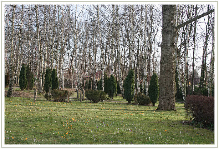 Frühling im Britzer Garten