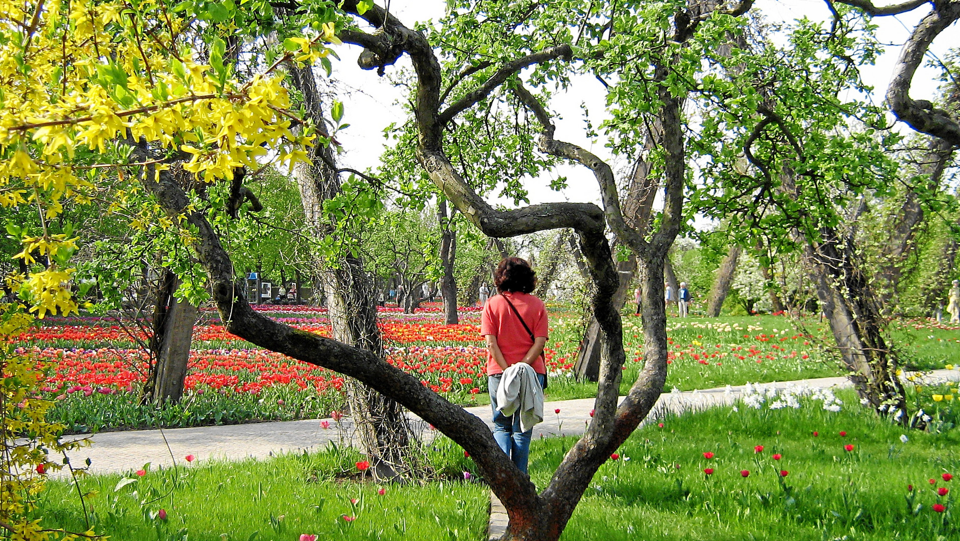 Frühling im Britzer Garten2