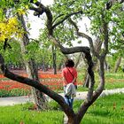 Frühling im Britzer Garten2