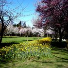 Frühling im Bunten Garten