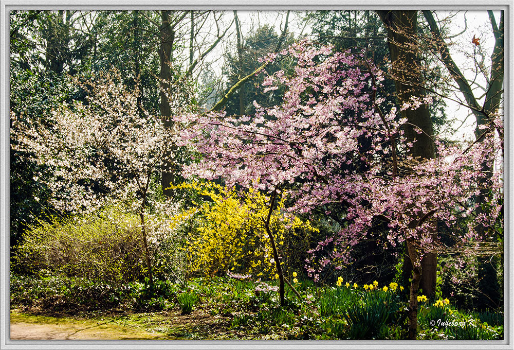 Frühling im Bunten Garten in Mönchengladbach