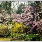 Frühling im Bunten Garten in Mönchengladbach