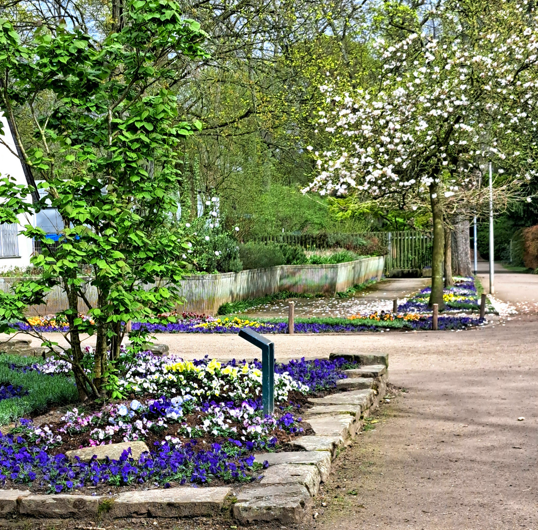 Frühling im Bunten Garten in Mönchengladbach