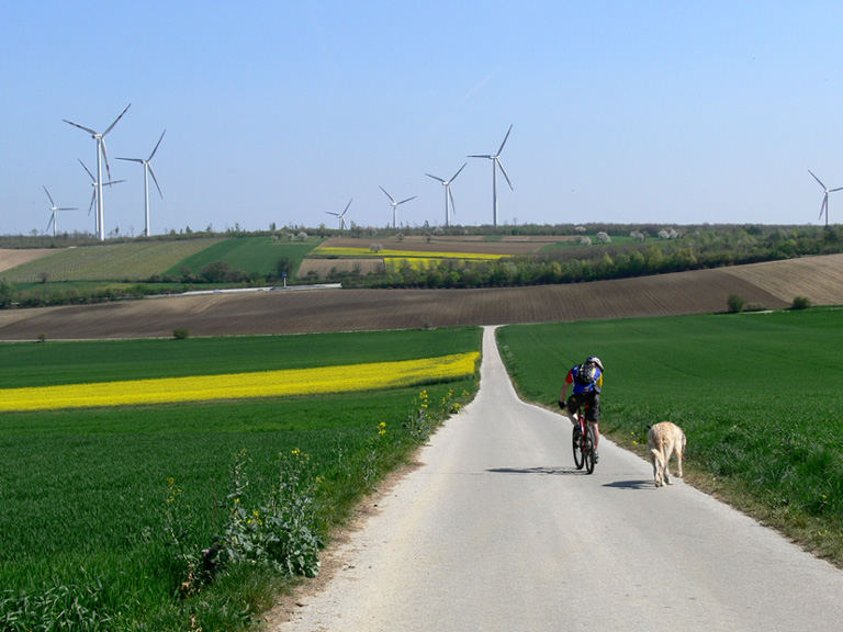 Frühling im Burgenland 1