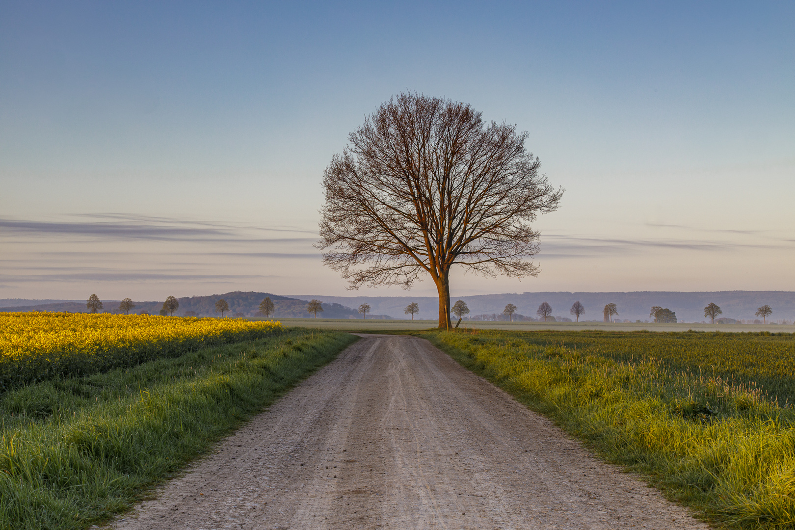 Frühling im Calenberger Land