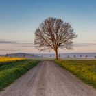 Frühling im Calenberger Land