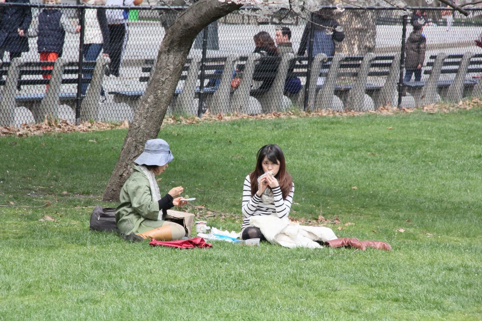 Frühling im Central Park III