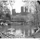 Frühling im Central Park - New York im Mai´2006