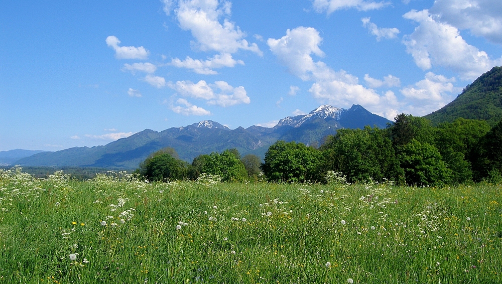 Frühling im Chiemgau