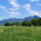 Frühling im Chiemgau