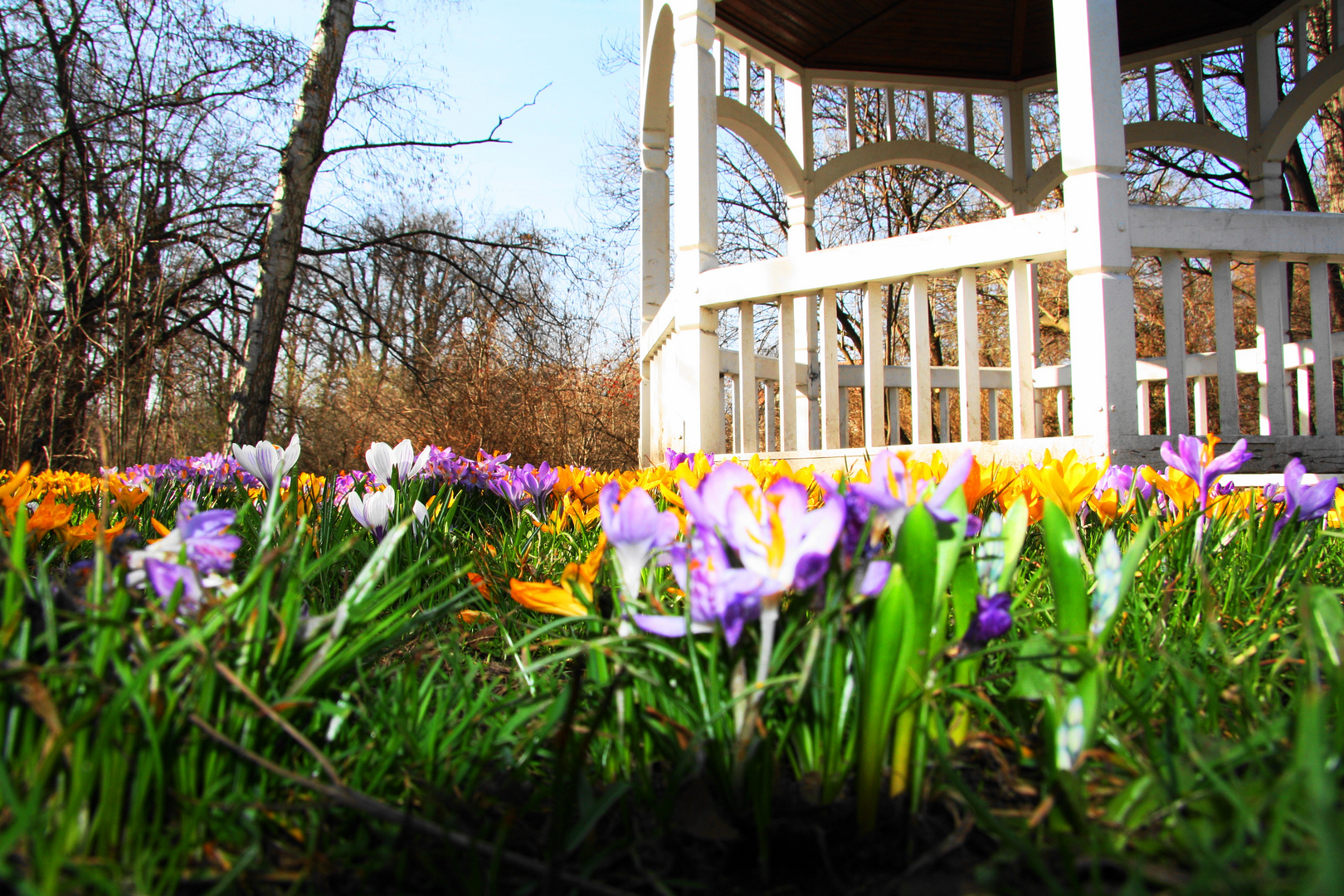 Frühling im Clara Park