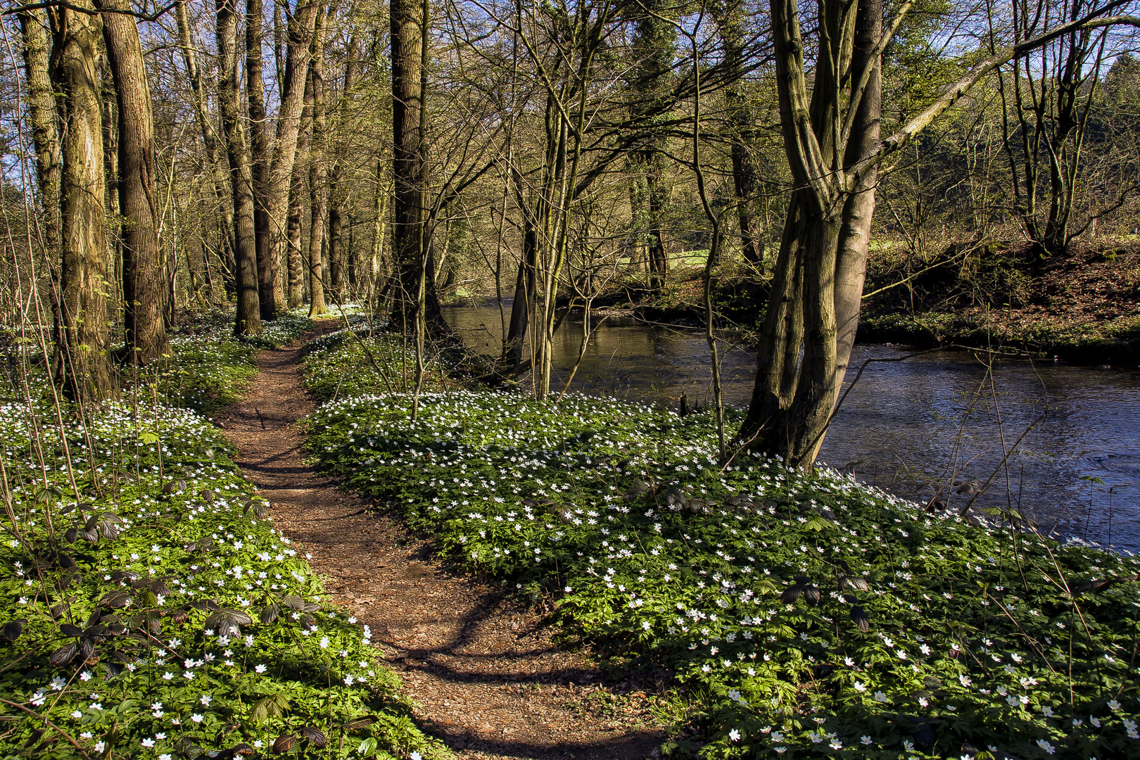 Frühling im Dhünntal...