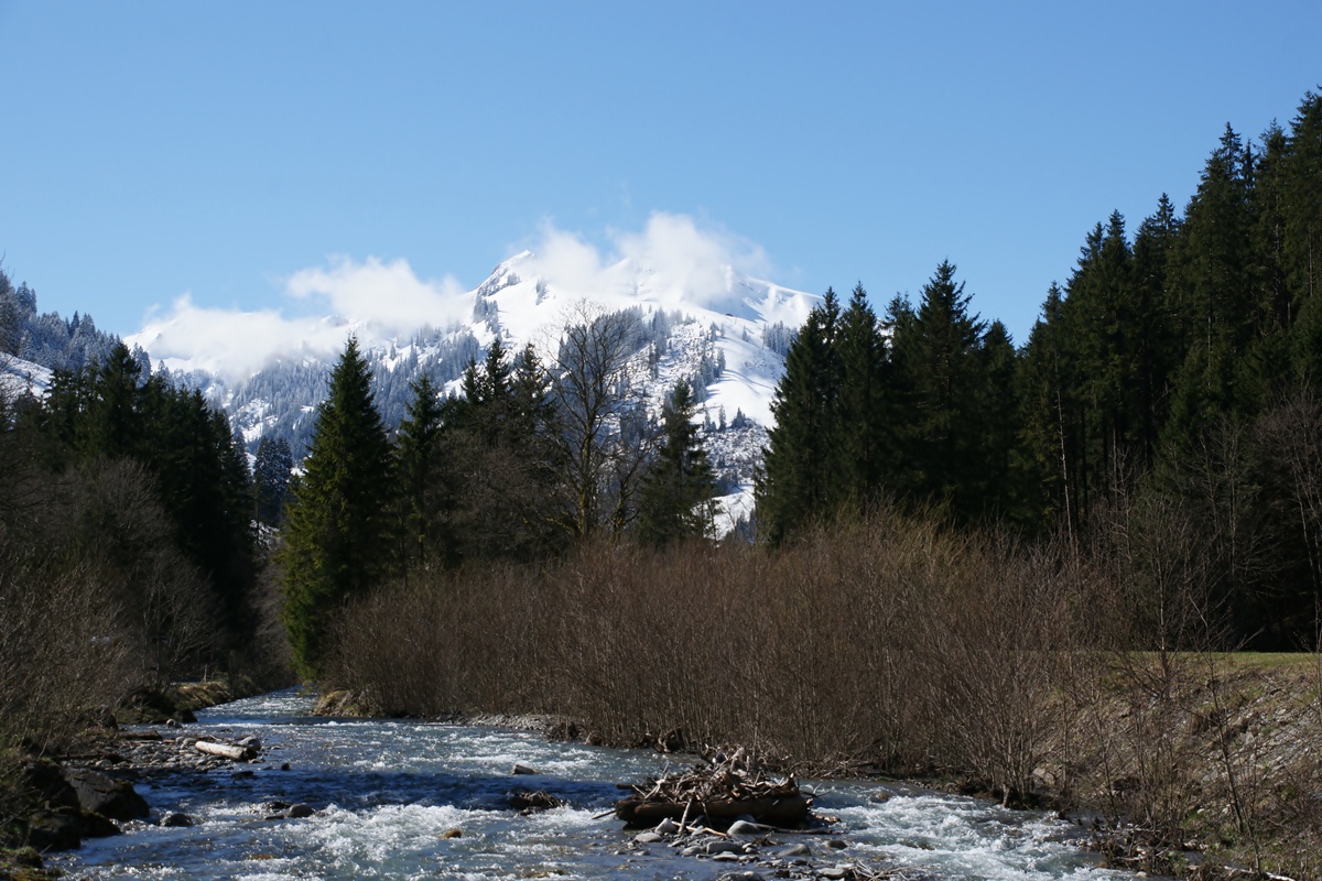 Frühling im Diemtigtal Kanton Bern