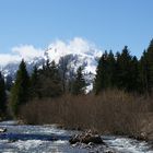 Frühling im Diemtigtal Kanton Bern