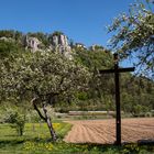 Frühling im Donautal