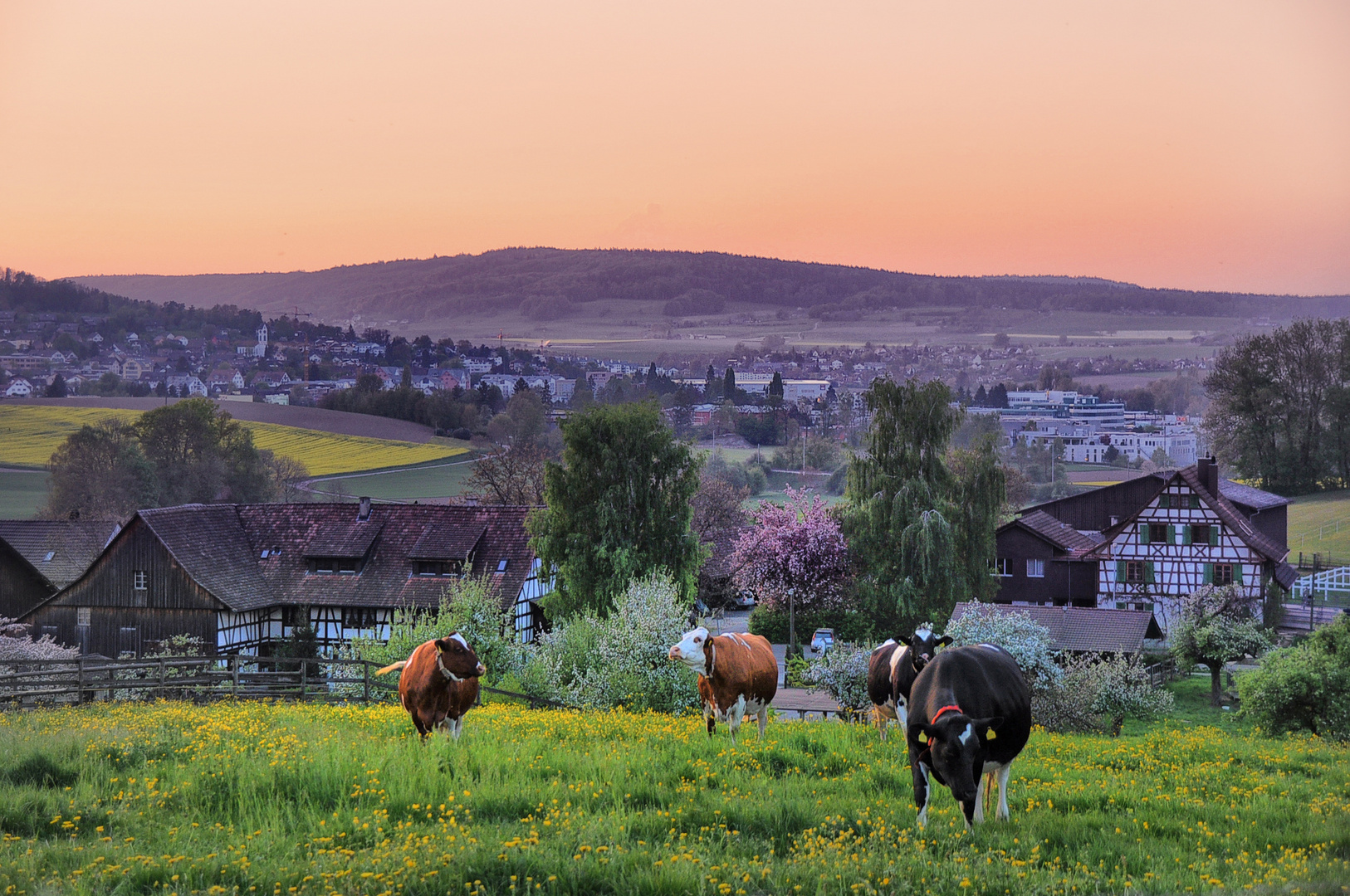 Frühling Dorf Frühling Dorf