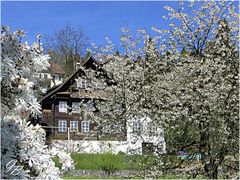 Frühling im Dorf