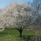 Frühling im Dorf