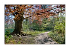 " Frühling im Duv. Brook "