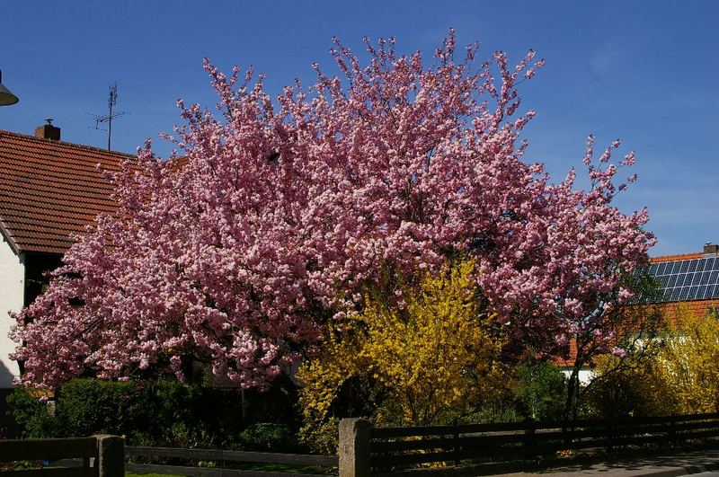 Frühling im Edertal