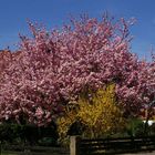 Frühling im Edertal