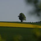 Frühling im Edertal