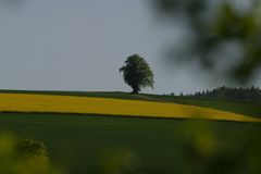 Frühling im Edertal