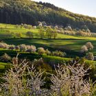 Frühling im Eggenertal