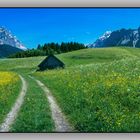 Frühling im Ehrwalder Kessel-Mit Blick auf Zugspitze und Sonnenspitz