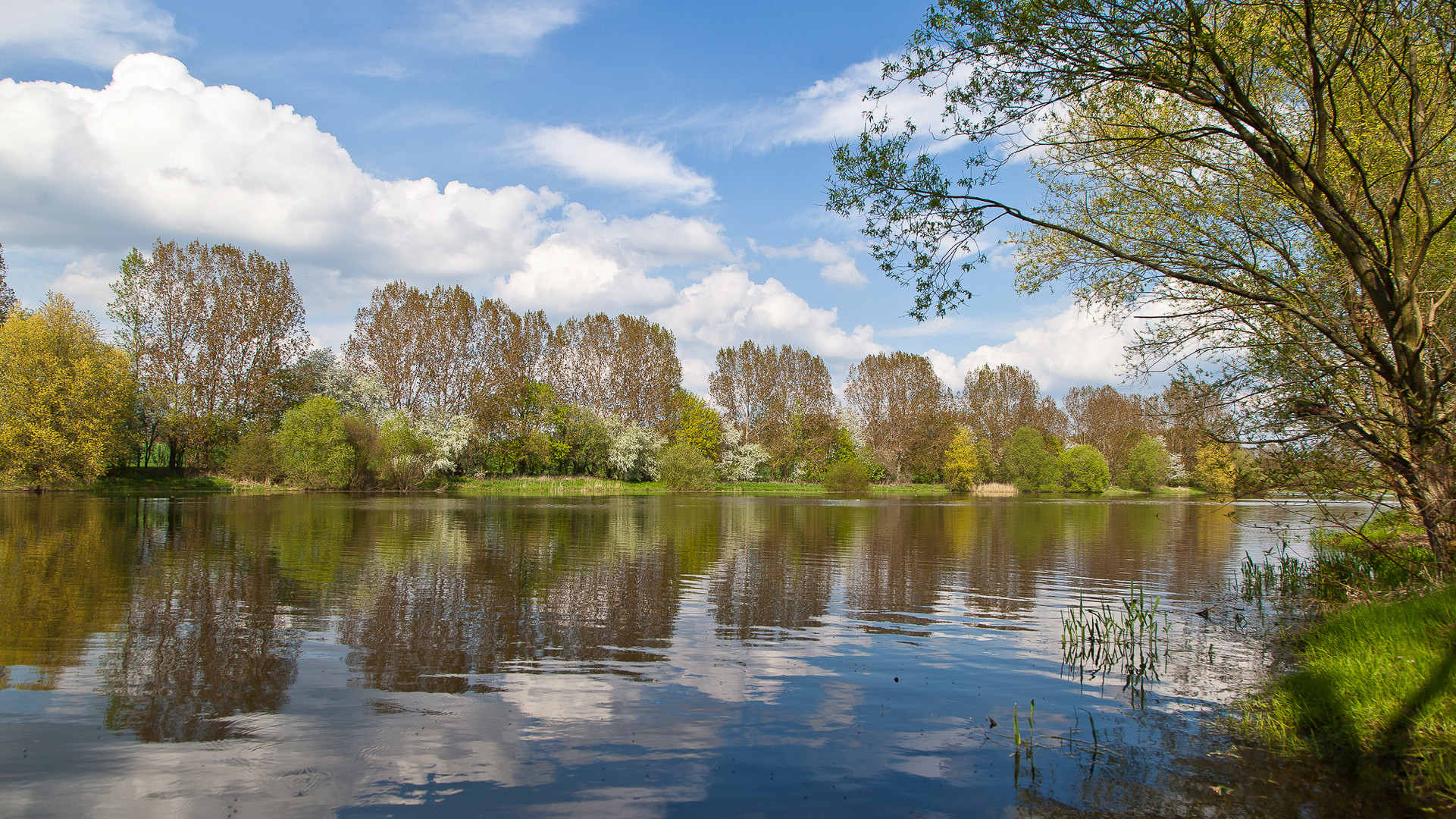 Frühling im Eichsfeld