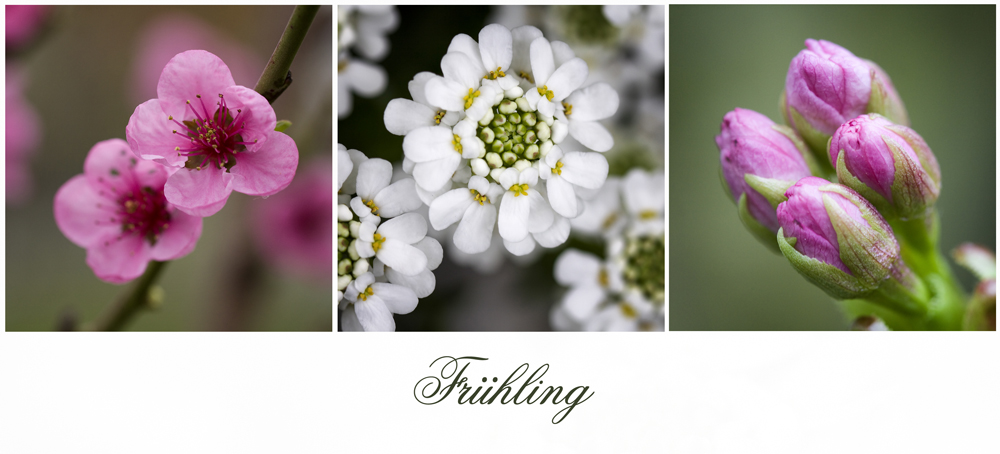 Frühling im eigenen Garten