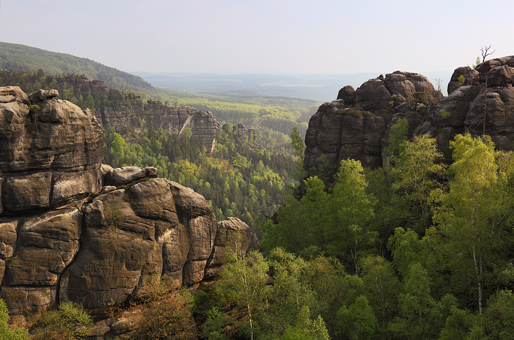 Frühling im Elbsandsteingebirge