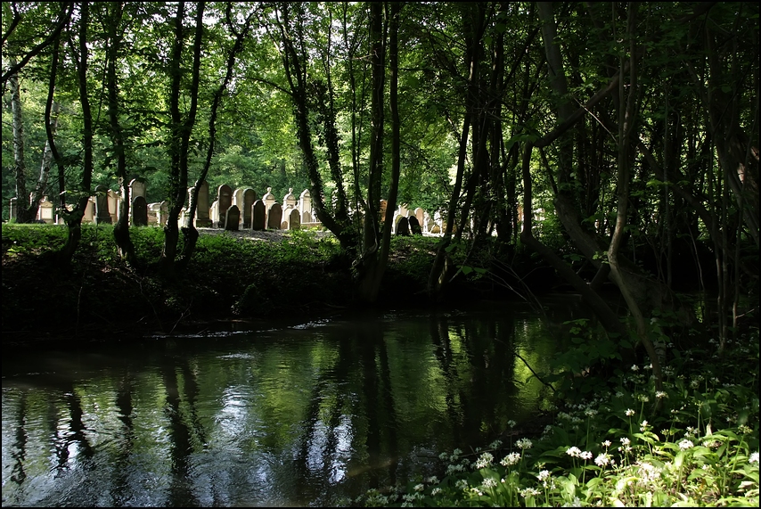 Frühling im Elsass...