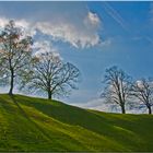 Frühling im Emmental CH