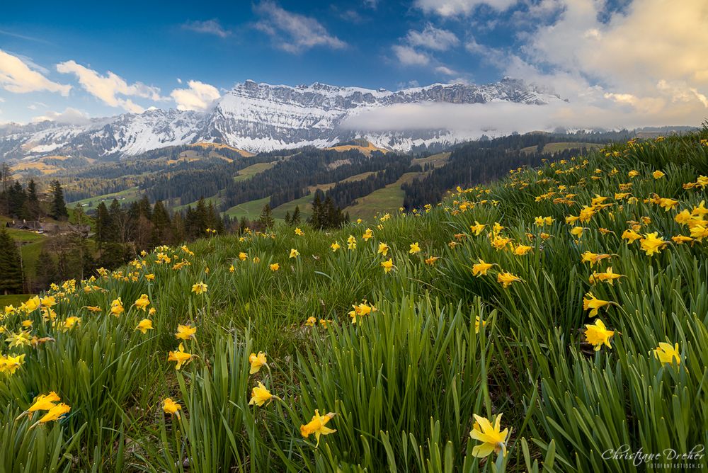 Frühling im Emmental