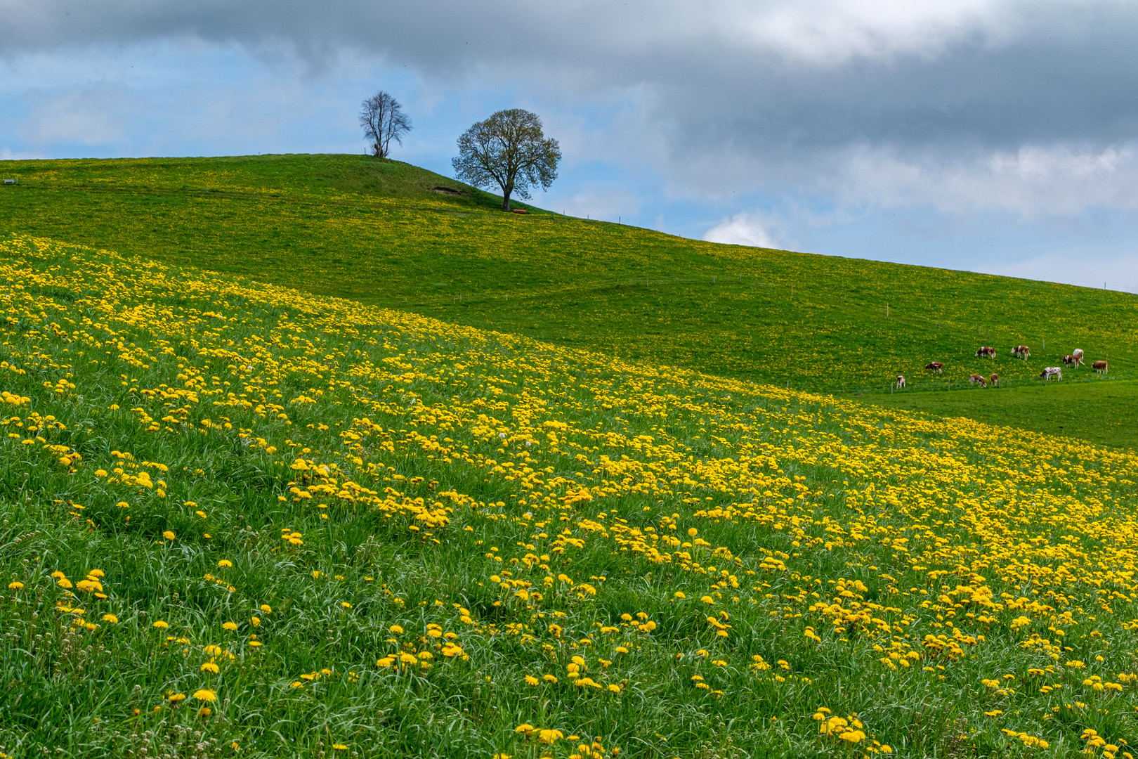 Frühling im Emmental