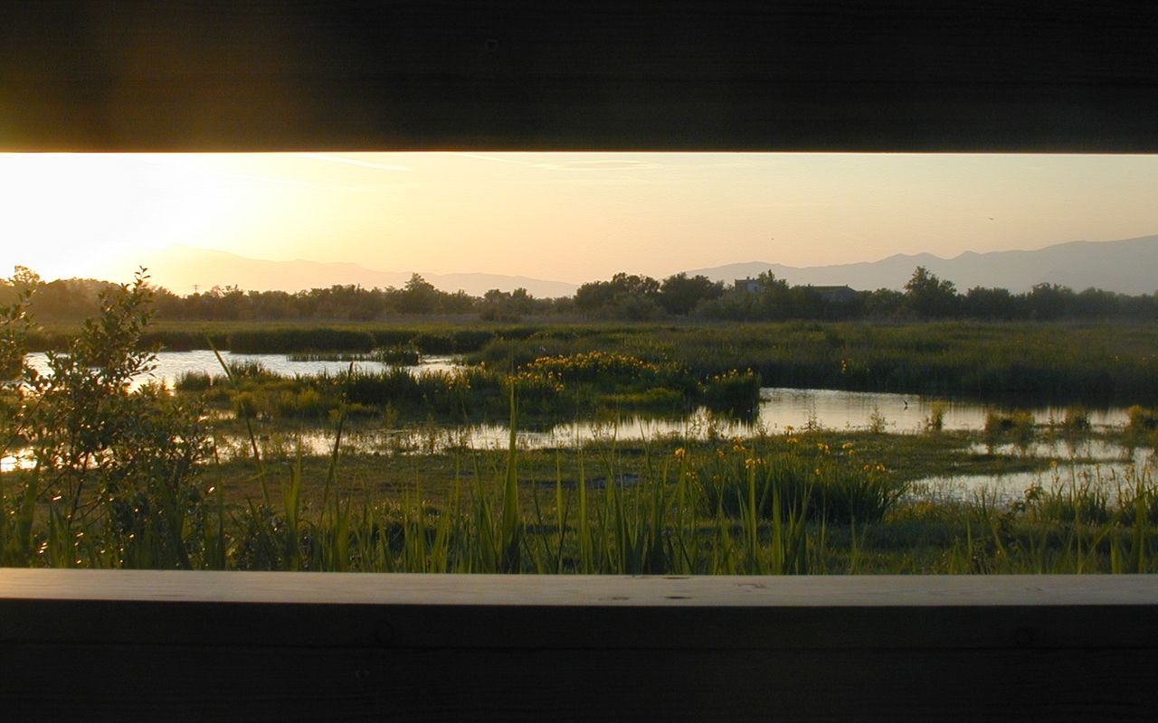 Frühling im Empordan/Wiese in Empuriabrava