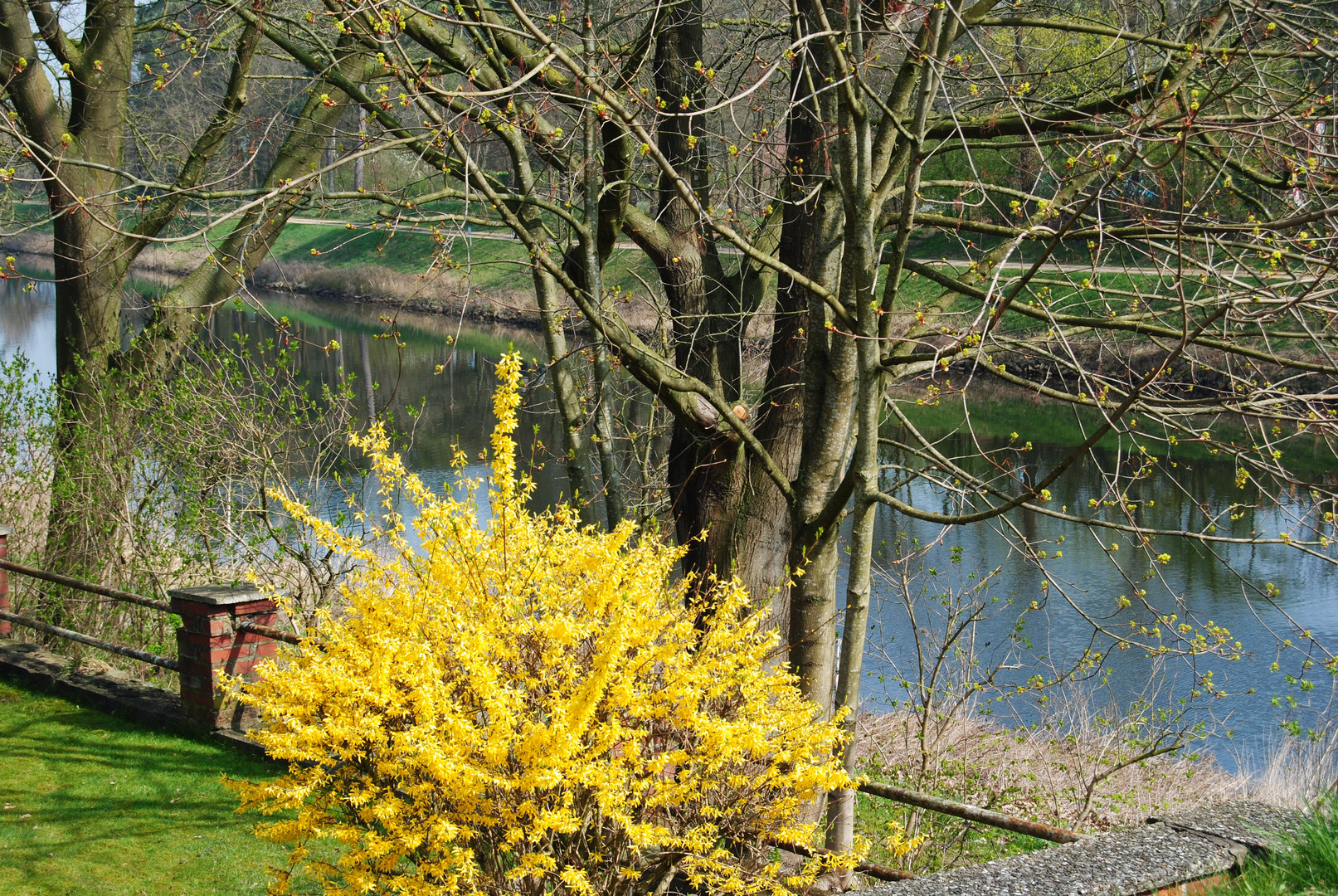 Frühling im Emsland