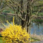 Frühling im Emsland