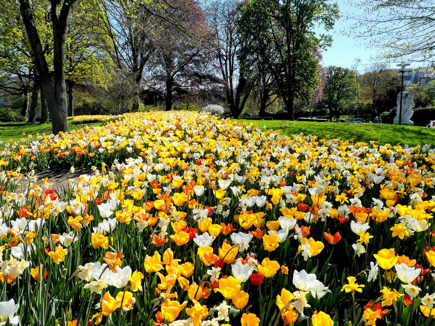 Frühling im Engelsgarten Wuppertal