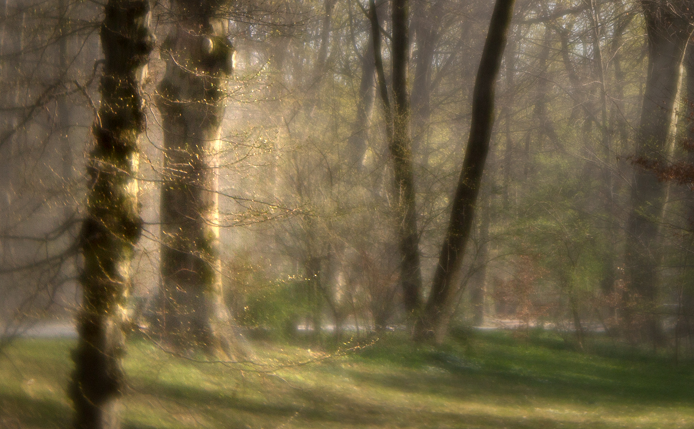 Frühling im Englischen Garten