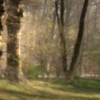 Frühling im Englischen Garten