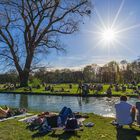 Frühling im Englischen Garten 2