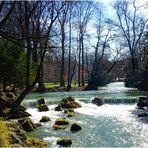 Frühling im Englischen Garten (I)