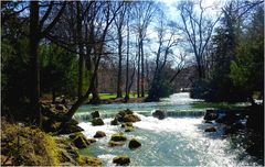 Frühling im Englischen Garten (I)